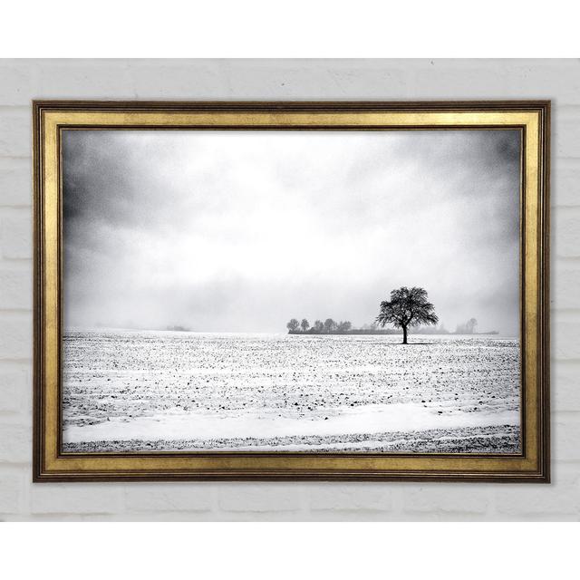 BGUC9464 - Single Picture Frame Art Prints Ophelia & Co. Size: 84.1cm H x 118.9cm W x 1.5cm D on Productcaster.