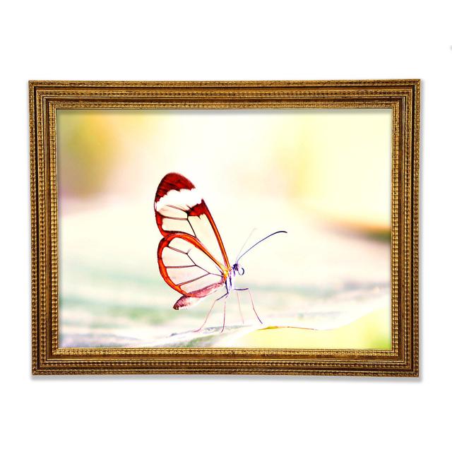 Transparent Winged Butterfly - Print Ebern Designs Size: 42cm H x 59.7cm W x 3cm D on Productcaster.