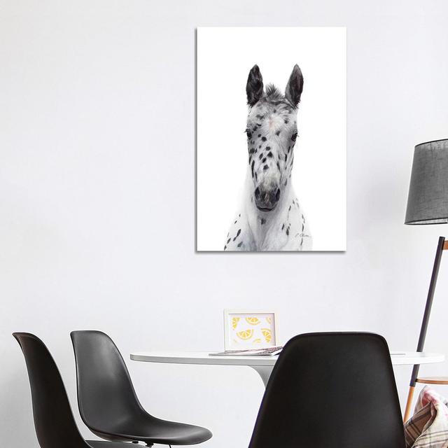 Appaloosa Foal - Wrapped Canvas Painting Natur Pur Size: 101.6cm H x 66.04cm W on Productcaster.