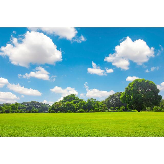 Green Park Outdoor With Blue Sky Cloud - Wrapped Canvas Print Ebern Designs Size: 51cm H x 76cm W on Productcaster.