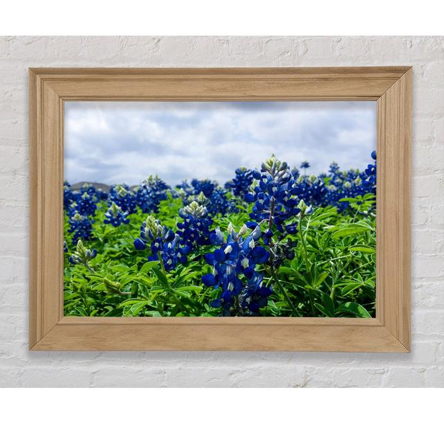 Bue Flowers On Green Stems - Single Picture Frame Art Prints Bright Star Size: 53.34cm H x 106.68cm W x 8cm D on Productcaster.