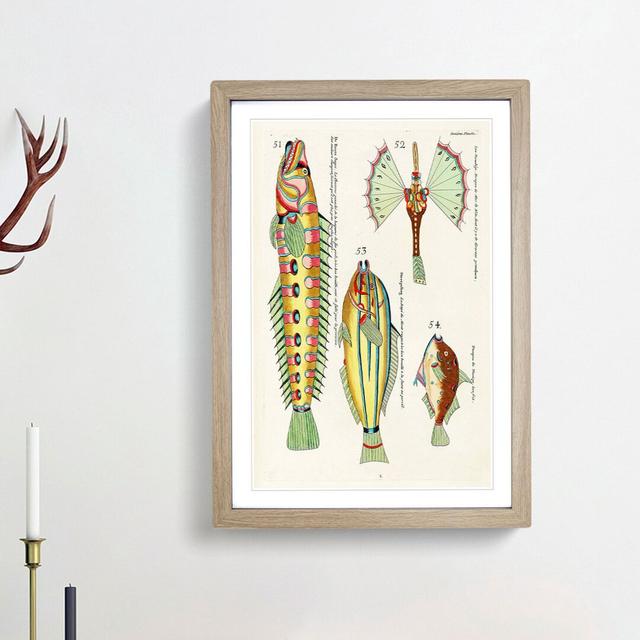 East Indies Fish Illustrations Onzieme by Louis Renard - Picture Frame Graphic Art Print East Urban Home Size: 65cm H x 48cm W x 2cm D, Frame Option: on Productcaster.