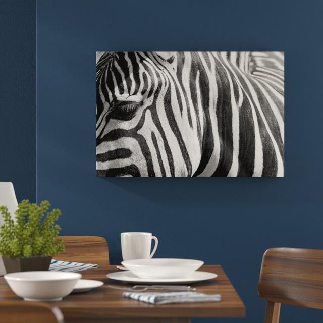 Leinwandbild ,,Zebra Porträt B", Fotodruck East Urban Home Größe: 60 cm H x 80 cm B on Productcaster.