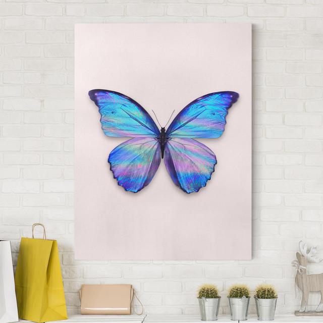 Leinwandbild Holografischer Schmetterling von Jonas Loose Sommerallee on Productcaster.