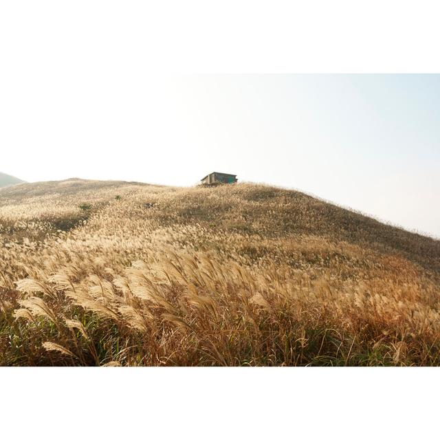 Autumn Hill Landscapes by Chinginging - Wrapped Canvas Photograph Latitude Run Size: 51cm H x 76cm W on Productcaster.