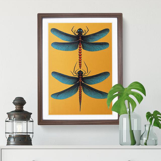 Wonderful Dragonflies - Picture Frame Graphic Art Marlow Home Co. Size: 46cm H x 34cm W x 2cm D, Frame Colour: Walnut on Productcaster.