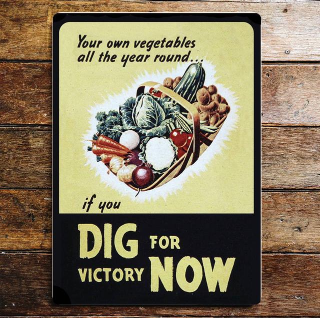 Dig For Victory Now Garden Metal Sign East Urban Home Size: 40cm H x 28cm W on Productcaster.