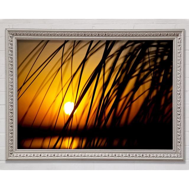 Golden Sun Through The Reeds Framed Print Bright Star Size: 21cm H x 29.7cm W on Productcaster.