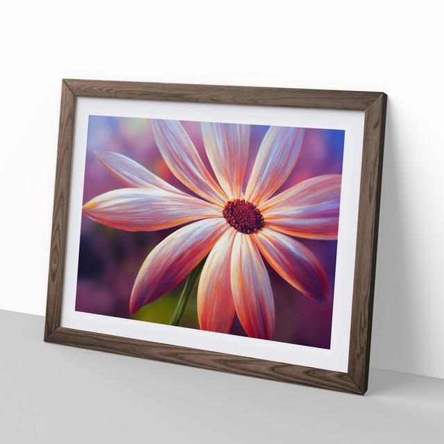 Timeless Daisy Flower - Picture Frame Graphic Art Marlow Home Co. Size: 46cm H x 64cm W x 2cm D, Frame Colour: Walnut on Productcaster.