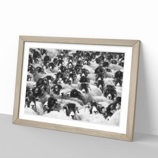 Flock of Sheep Vol.2 - Picture Frame Graphic Art on MDF East Urban Home Size: 27cm H x 36cm W x 2cm D, Frame Option: Oak Framed on Productcaster.