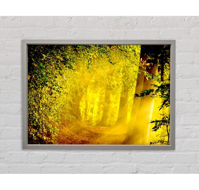 Enchanted Forest - Single Picture Frame Art Prints on Canvas Bright Star Size: 100.1cm H x 141.4cm W x 3.3cm D on Productcaster.