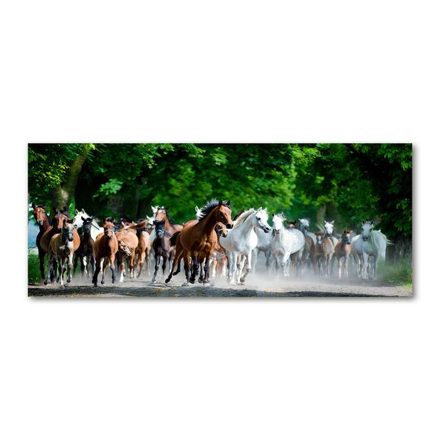 Horses in a Gallop - Unframed Art Prints on Canvas Gracie Oaks on Productcaster.