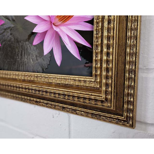 Pink Flowers In The Lake Framed Print Ivy Bronx Size: 59.1cm H x 84.1cm W x 3cm D on Productcaster.