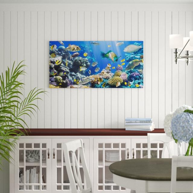 Underwater Reef - Wrapped Canvas Graphic Art Print East Urban Home Size: 80 L x 40 W on Productcaster.