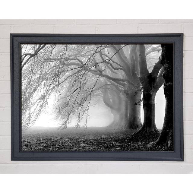 Heavy Branches - Single Picture Frame Art Prints Alpen Home Size: 21cm H x 29.7cm W x 1.5cm D on Productcaster.