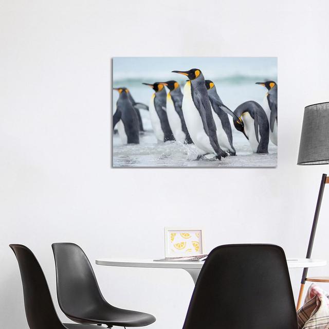 King Penguin On Falkland Islands.-MZW228 House of Hampton Size: 66.04cm H x 101.6cm W x 1.9cm D on Productcaster.