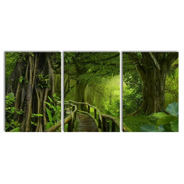 Path through a Tropical Forest - 3 Piece Wrapped Canvas Photograph Print Set East Urban Home Size: 210 cm H x 100 cm W x 2.4 cm D on Productcaster.