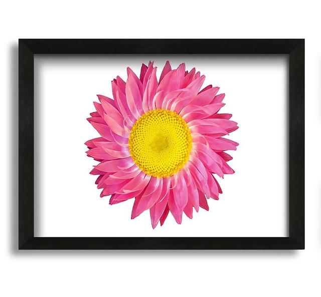 Pink Daisy Twist - Picture Frame Painting on Canvas Ebern Designs on Productcaster.