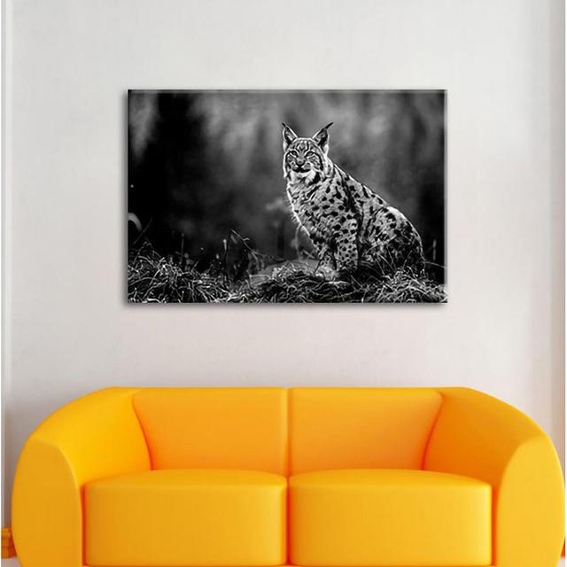 Leinwandbild European Lynx on Meadow Alpen Home Größe: 60 cm H x 80 cm B x 1,8 cm T on Productcaster.