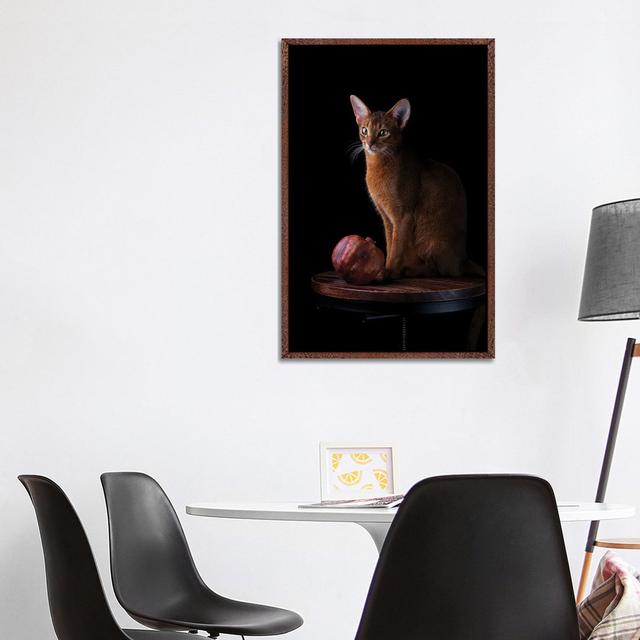 Abessinierkatze und Granatapfel von Nailia Schwarz - Galerie-umwickelte Leinwand Giclée auf Leinwand Ebern Designs Format: Klassischer Holzrahmen, Grö on Productcaster.