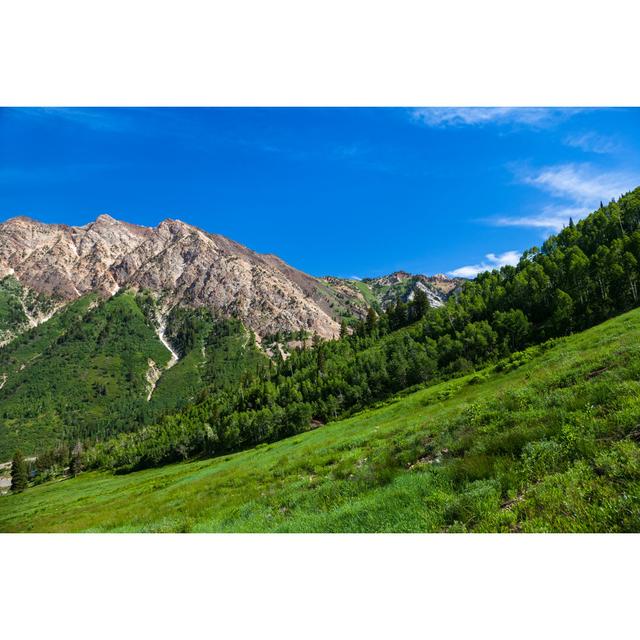 Marian Mountains in Summer by Juliannafunk - Wrapped Canvas Photograph Alpen Home Size: 61cm H x 91cm W x 3.8cm D on Productcaster.