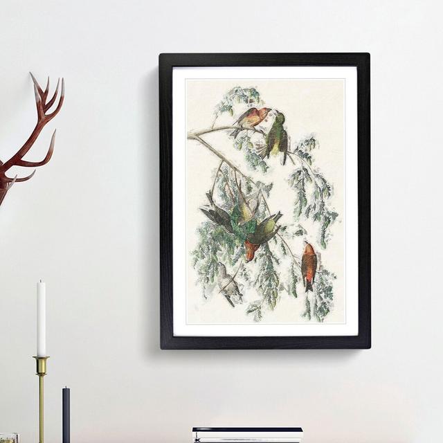 American Crossbill Birds by John Audubon - Picture Frame Painting Print on Paper East Urban Home Frame Option: Black Framed, Size: 63cm H x 45cm W x 2 on Productcaster.