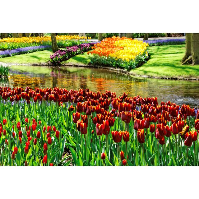 Beautiful Garden With Multiple Colourful Tulips And A Lake by Jura13 - Wrapped Canvas Print Ebern Designs Size: 20.32cm H x 30.48cm W on Productcaster.