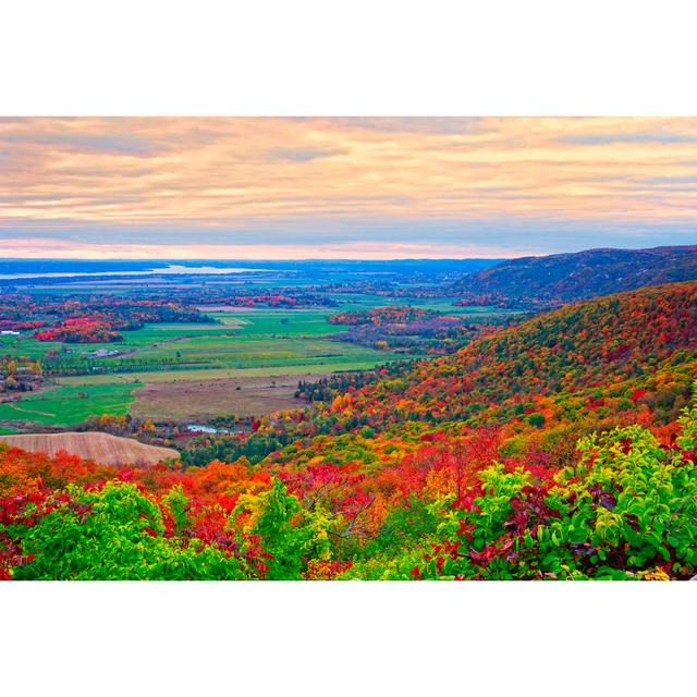 Gatineau Park by Orchidpoet - Print 17 Stories Size: 61cm H x 91cm W on Productcaster.