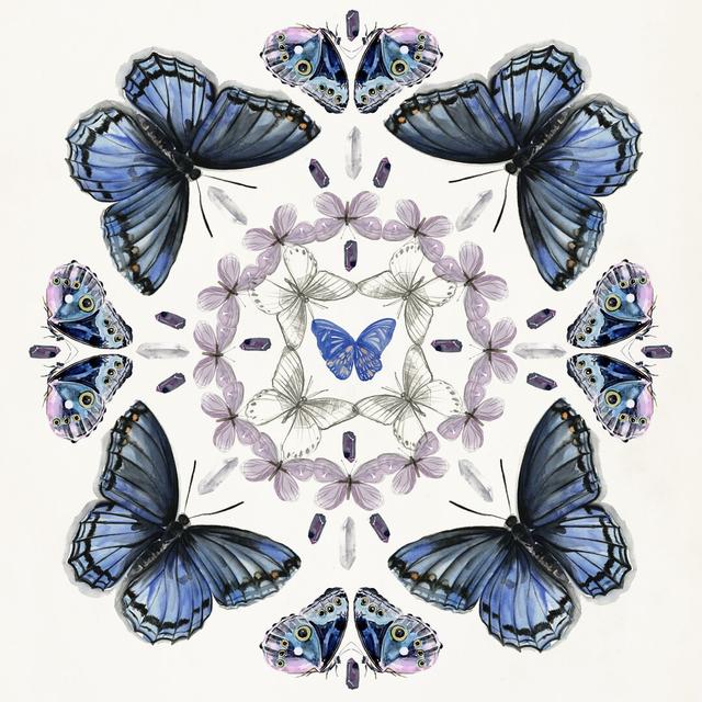 Butterfly Mandala II by Jennifer Paxton Parker - Wrapped Canvas Painting August Grove Size: 91cm H x 91cm W on Productcaster.