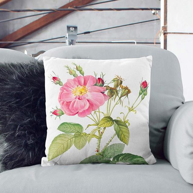 Harsh Downy Rose by Pierre-Joseph Redoute Cushion with Filling East Urban Home Size: 40cm H x 40cm W x 15cm D, Backing Colour: Black on Productcaster.