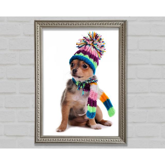 Chihuahua Dog Dressed For Winter Framed Print Happy Larry Size: 84.1cm H x 118.9cm W on Productcaster.