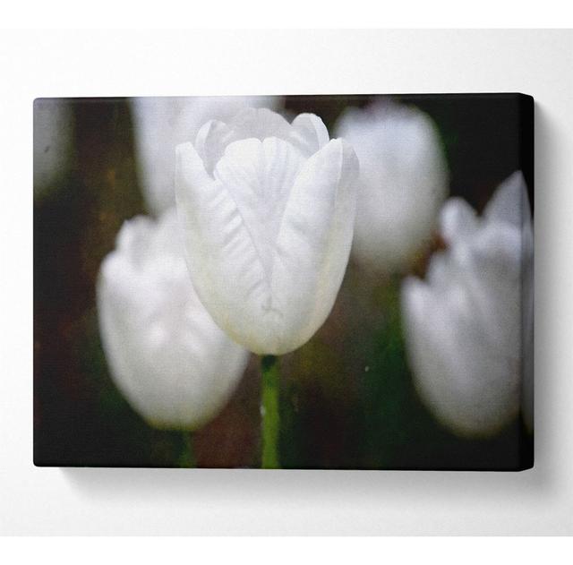 White Snowdrop Beauty - Print Latitude Run Size: 35.6cm H x 50.8cm W x 10cm D on Productcaster.