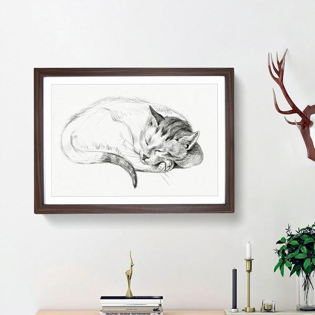 Sleeping Cat by Jean Bernard - Picture Frame Drawing Print East Urban Home Frame Option: Walnut Framed, Size: 48cm H x 65cm W x 2cm D on Productcaster.