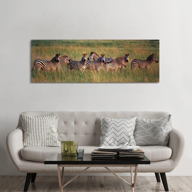 Burchell'S Zebras (Equus Quagga Burchellii) In A Forest, Masai Mara National Reserve, Kenya - Wrapped Canvas Panoramic Print Rosalind Wheeler Size: 60 on Productcaster.