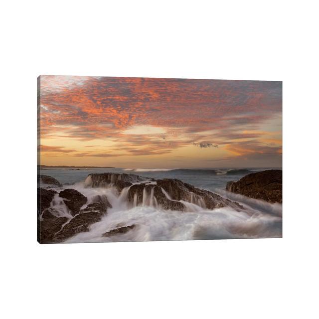 Surf, Playa Langosta, Guanacaste, Costa Rica House of Hampton Size: 20.32cm H x 30.48cm W x 1.905cm D on Productcaster.