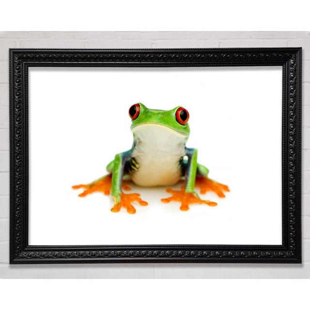 Frog Call - Single Picture Frame Art Prints Bright Star Size: 84.1cm H x 118.9cm W on Productcaster.