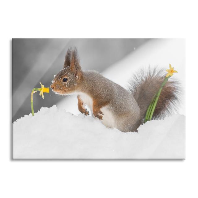 Squirrel in the Snow - Unframed Photograph on Glass Brayden Studio Size: 60cm H x 80cm W x 0.4cm D on Productcaster.