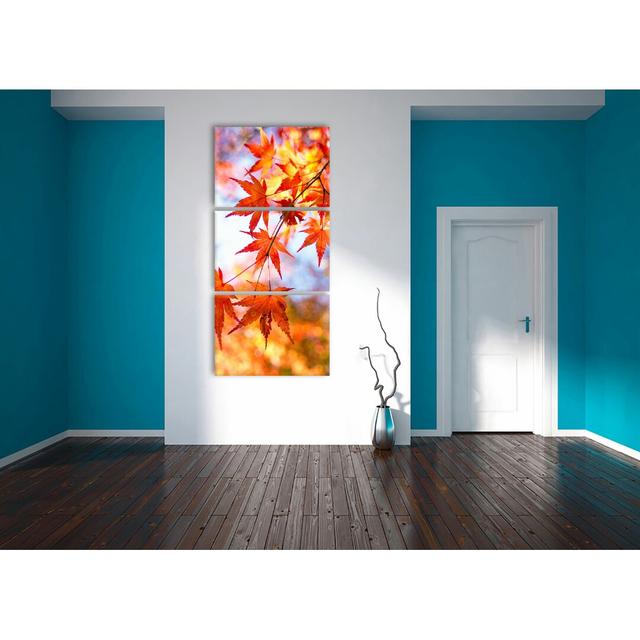 'Red Maple in Sunlight' - 3 Piece Wrapped Canvas Photograph Print Set East Urban Home Size: 210cm H x 100cm W on Productcaster.