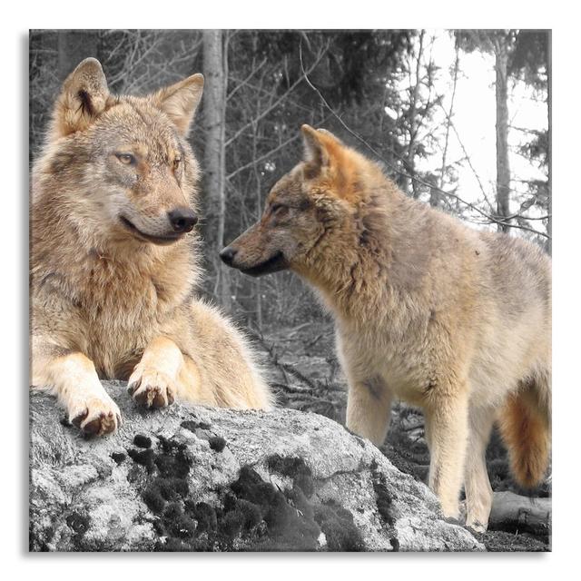 Wolves in Forest - Unframed Photograph on Glass Ebern Designs Size: 60cm H x 60cm W x 0.4cm D on Productcaster.