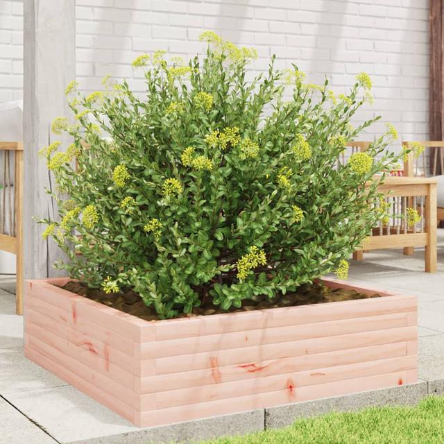 2 Wood Planter DEvidaxl Colour: Natural Douglas fir wood, Size: 23cm H x 80cm W x 80cm D on Productcaster.