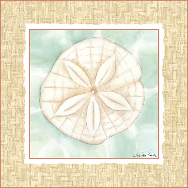 Ocean Sanddollar Highland Dunes Size: 122cm H x 122cm W on Productcaster.