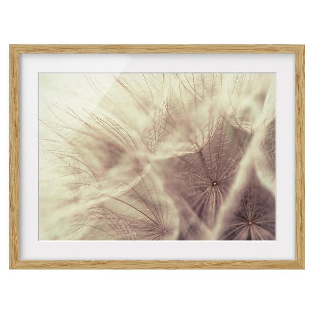 Detailed Dandelion Macro Shot with a Vintage Blur Effect Framed Photographic Art Print East Urban Home Frame Options: Natural oak wood, Size: 50cm H x on Productcaster.