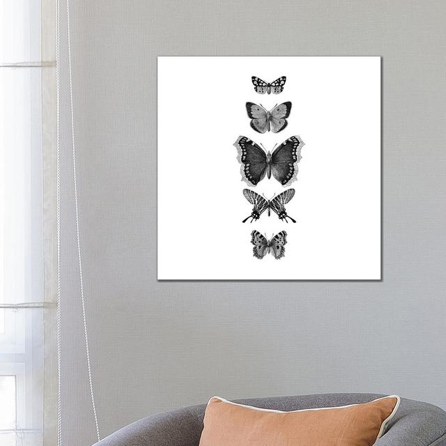 Inked Butterflies Black and White Square by Monika Strigel - Wrapped Canvas Graphic Art Brambly Cottage Size: 66.04cm H x 66.04cm W x 1.91cm D on Productcaster.