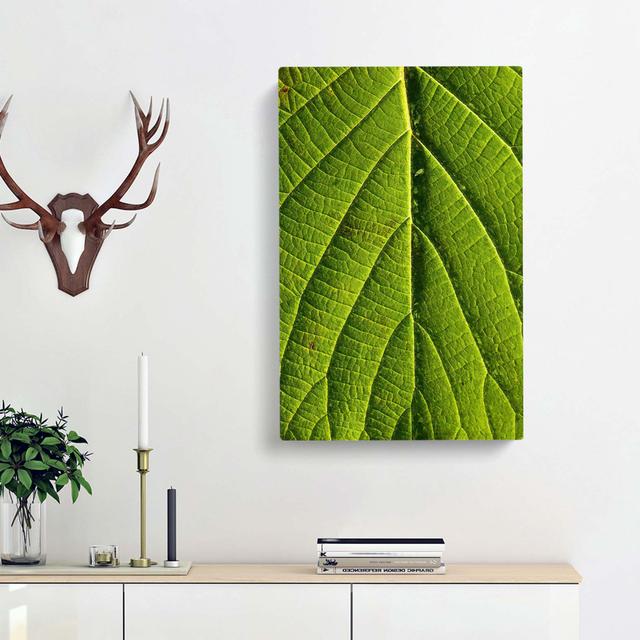 Leaf Pathways - Wrapped Canvas Graphic Art Print East Urban Home Size: 60cm H x 40cm W x 3cm D on Productcaster.