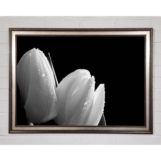 Black And White Tulip Beautys - Print Brayden Studio Size: 59.7cm H x 84.1cm W x 1.5cm D on Productcaster.