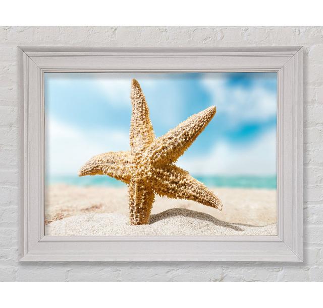 Starfish In Detail Sands Framed Print Haus am Meer Größe: 59,7 cm H x 84,1 cm B x 8 cm T on Productcaster.