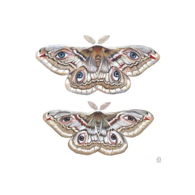 Two Moth by Eugenia Shchukina - Wrapped Canvas Print Brambly Cottage Size: 45.72cm H x 45.72cm W x 3.81cm D on Productcaster.