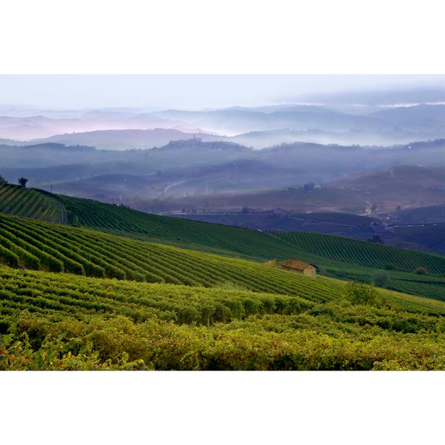 View Of A Vineyard In Langhe - Wrapped Canvas Art Prints Alpen Home Size: 50cm H x 75cm W x 1.8cm D on Productcaster.