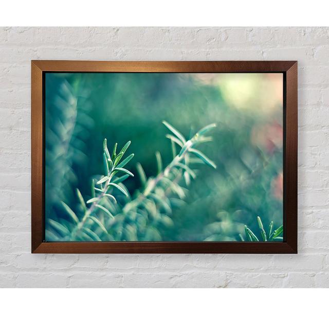 Rosemary - Single Picture Frame Art Prints Bright Star Size: 100cm H x 141.4cm W on Productcaster.