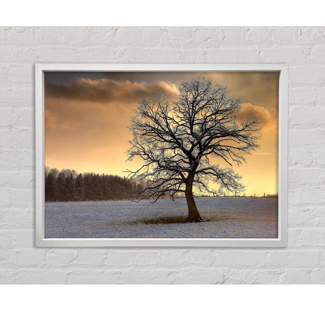 Solitary Tree Winter - Single Picture Frame Art Prints on Canvas Bright Star Size: 59.7cm H x 84.1cm W x 3.3cm D on Productcaster.